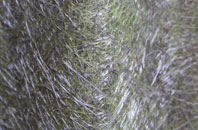 Gosberton Cheal fibreglass roof work